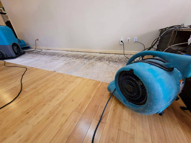 Professional Water Removal technician working in Delhi, LA